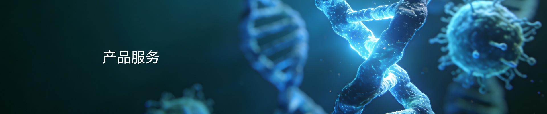 产品服务