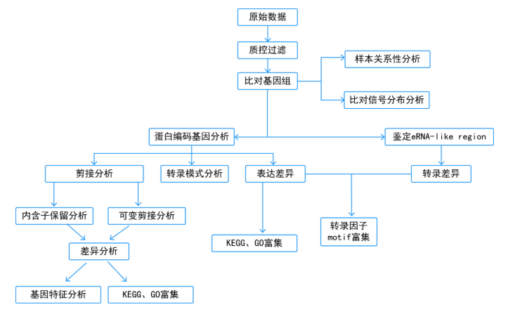 1788427072625388.png image.png