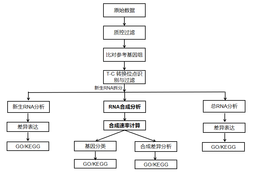 1789022910754494.png image.png