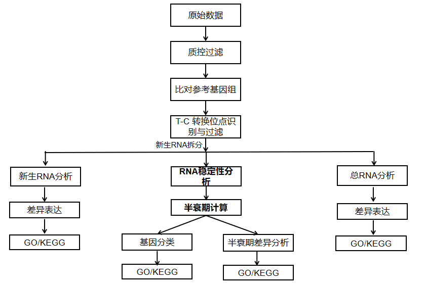 1789026119643534.png image.png